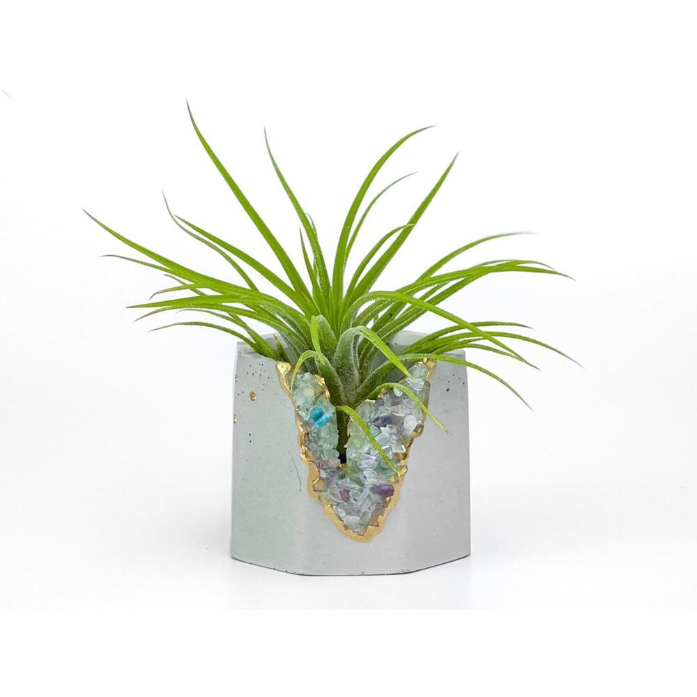 Succulent Pot Fluorite Crystal Planter Geode Air Plant holde